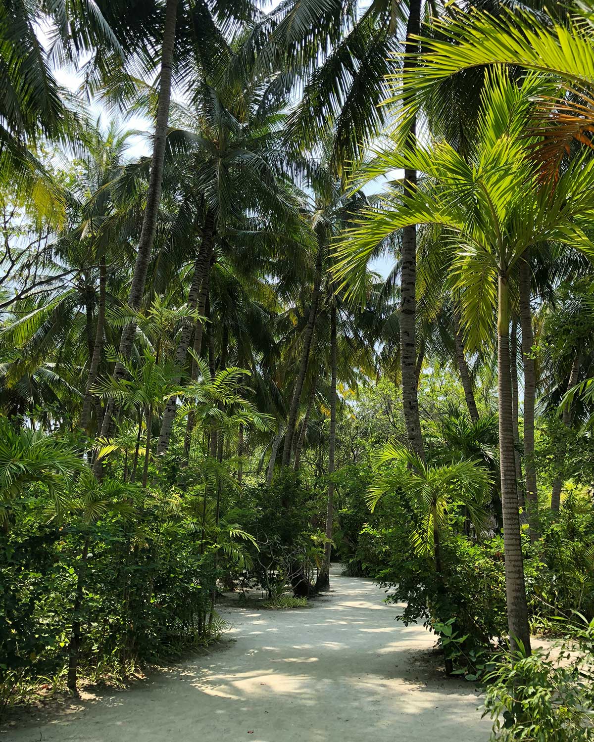 Maldives